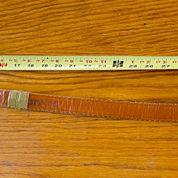 Alexis Kirk Beige Snakeskin Belt with Gold Plated Buckle main image 5